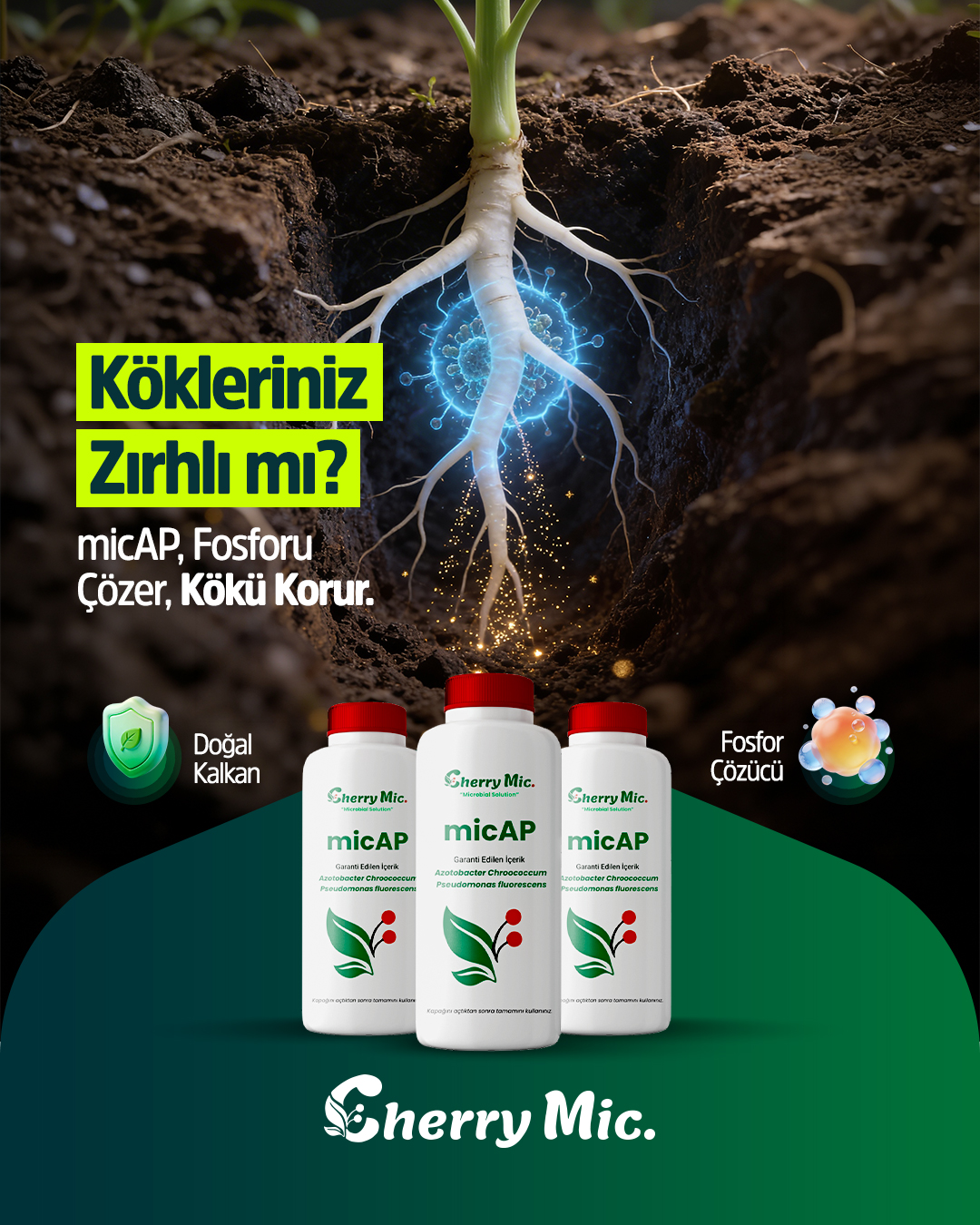 Cherry Mic. I Sosyal Medya Tasarımları görsel 3